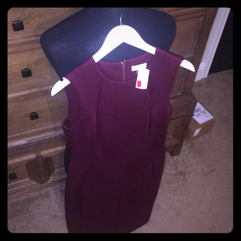 Calvin Klein Sheath
